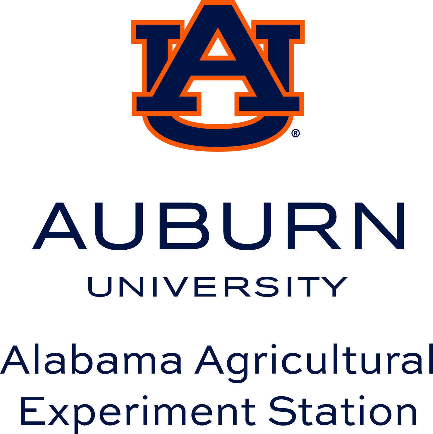 Auburn